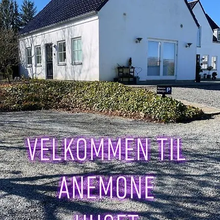 Anemone Huset *